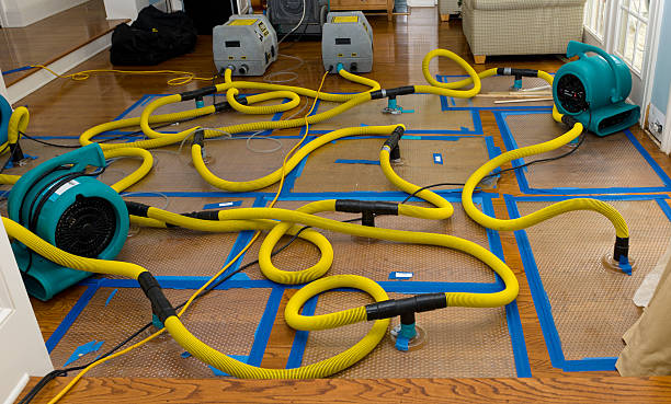 Professional Basement Flood Cleanup technician working in Seal Harbor, ME
